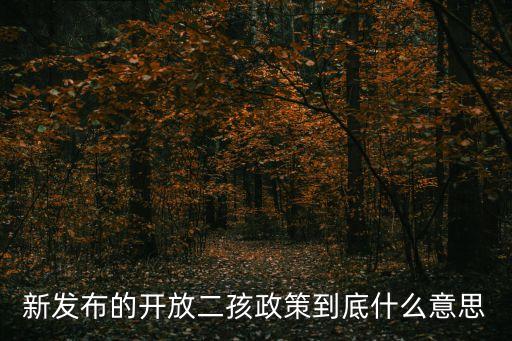新發(fā)布的開放二孩政策到底什么意思