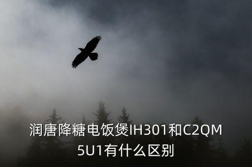 潤唐降糖電飯煲IH301和C2QM5U1有什么區(qū)別