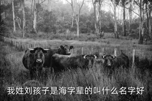 我姓劉孩子是海字輩的叫什么名字好