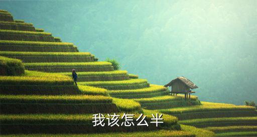 勾引a，我該怎么半