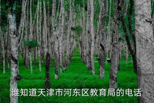 誰知道天津市河?xùn)|區(qū)教育局的電話