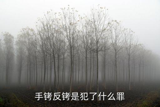 手銬反銬是犯了什么罪