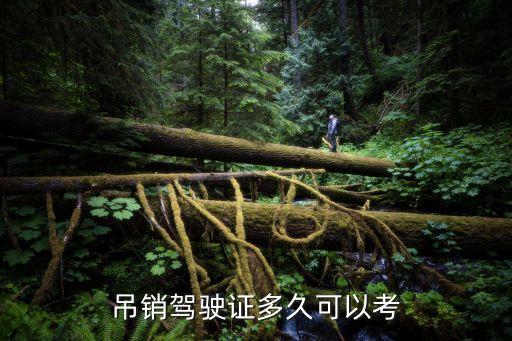 駕照吊銷之后多長時間可以重新考，吊銷駕駛證多久可以考