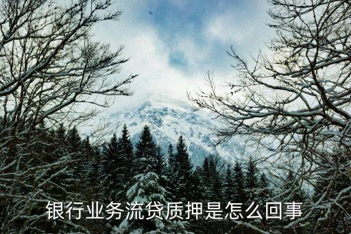 流貸，財(cái)務(wù)中流貸資金什么意思