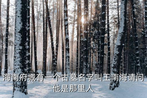 王南海，海南府城有一個古墓名字叫王南海請問他是那里人