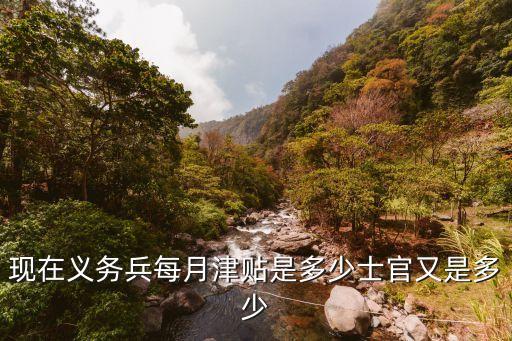 現(xiàn)在義務(wù)兵每月津貼是多少士官又是多少