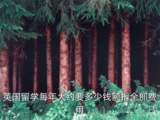英國留學每年大約要多少錢額指全部費用