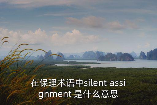 在保理術(shù)語(yǔ)中silent assignment 是什么意思