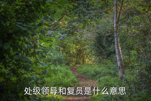 處級領(lǐng)導(dǎo)和復(fù)員是什么意思