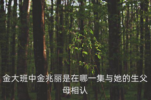 金大班中金兆麗是在哪一集與她的生父母相認
