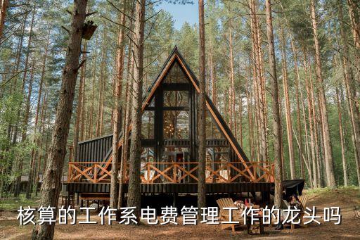 電費管理，核算的工作系電費管理工作的龍頭嗎