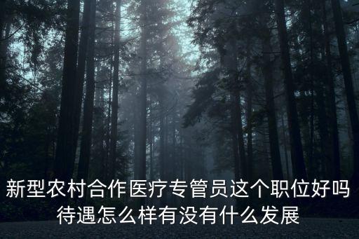專管員是什么，什么是專員主要是干什么的