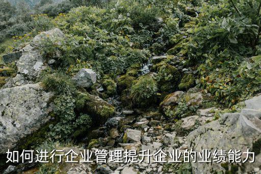 企業(yè)管理方法，如何進行企業(yè)管理提升企業(yè)的業(yè)績能力