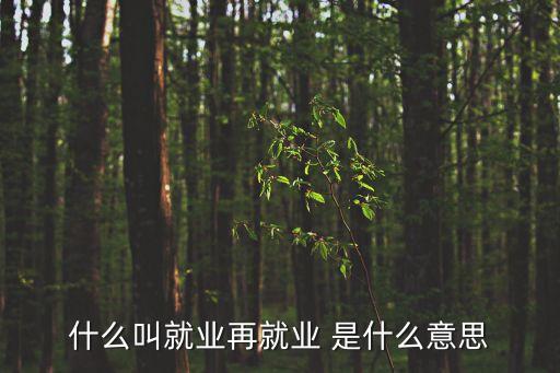 再就業(yè)，就業(yè)再就業(yè)人員指的是那一類人