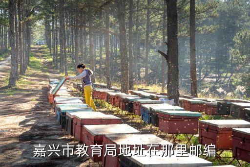 嘉興市教育局地址在那里郵編