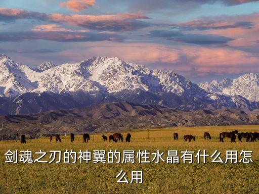 劍魂之刃的神翼的屬性水晶有什么用怎么用