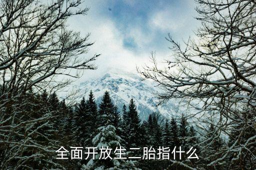 放開生育，中國放開三胎政策了嗎