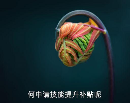 職業(yè)技能提升補(bǔ)貼，職業(yè)技能提升有哪些補(bǔ)貼技師可有補(bǔ)貼呢
