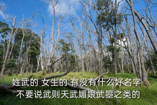 武倩，武倩還恨我嗎