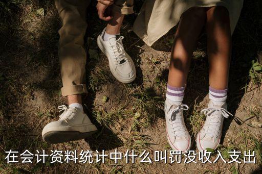罰沒(méi)，罰沒(méi)支出是什么