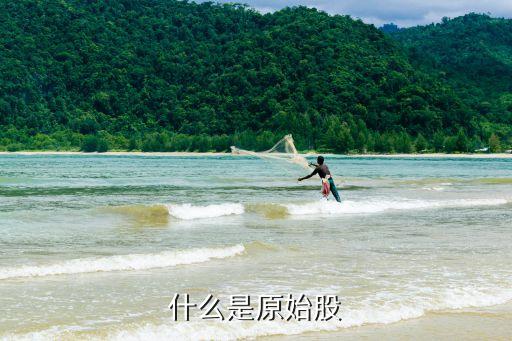 原始股，原始股是什么
