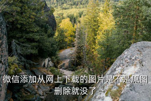 微信添加從網(wǎng)上下載的圖片是不是原圖刪除就沒了