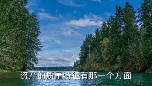 資產(chǎn)的質(zhì)量特征有那一個(gè)方面
