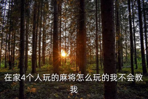 在家4個(gè)人玩的麻將怎么玩的我不會(huì)教我