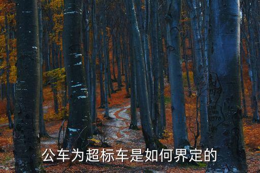 超標車，國5標準的車有哪些