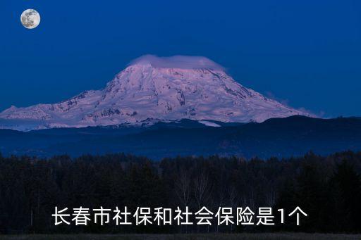 長春市社保和社會保險是1個