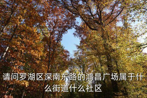 請問羅湖區(qū)深南東路的鴻昌廣場屬于什么街道什么社區(qū)