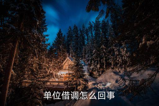 單位借調(diào)怎么回事