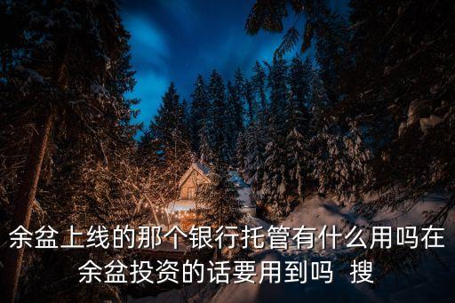 銀行托管，資金在銀行托管什么意思