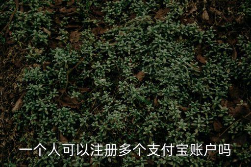 一個人可以注冊多個支付寶賬戶嗎