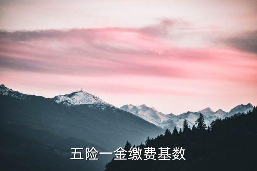 職工社保繳費基數(shù)，我個人去辦理社保有個繳費基數(shù)然后問我選多少社保基數(shù)是什么