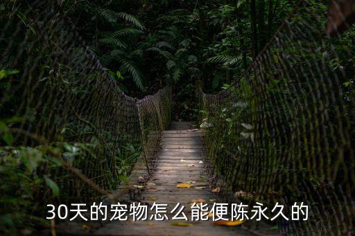 30天的寵物怎么能便陳永久的