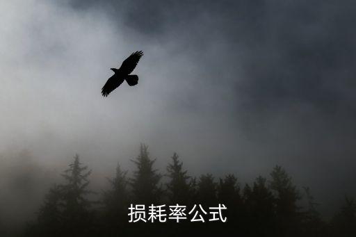 耗損率，如何計(jì)算損耗率急在線等