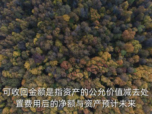 可收回金額，什么叫做固定資產(chǎn)的可回收金額什么情況導致了計提固定資產(chǎn)減值