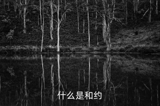 和約，什么是和約