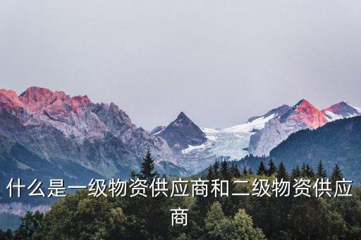 二級供應(yīng)商，一級供應(yīng)商和二級供應(yīng)商的定義是什么