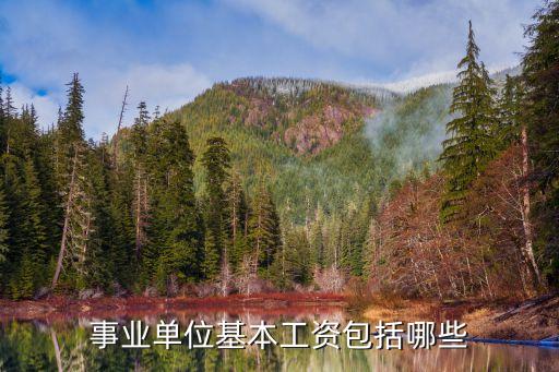 事業(yè)單位崗位工資，事業(yè)單位工資
