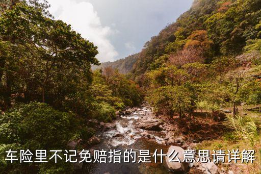 車險里不記免賠指的是什么意思請詳解