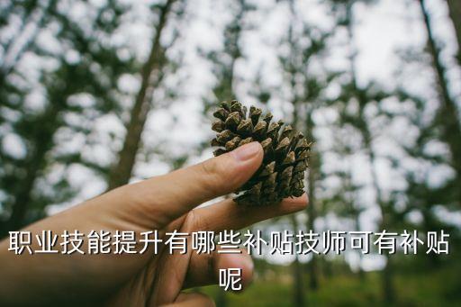 職業(yè)技能提升有哪些補(bǔ)貼技師可有補(bǔ)貼呢