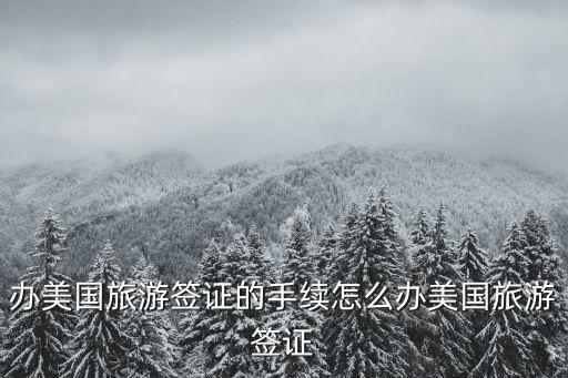 美簽申請流程，美國簽證加急預約美國簽證流程辦理