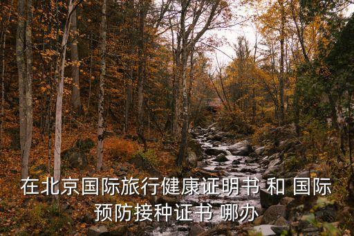 在北京國(guó)際旅行健康證明書(shū) 和 國(guó)際預(yù)防接種證書(shū) 哪辦