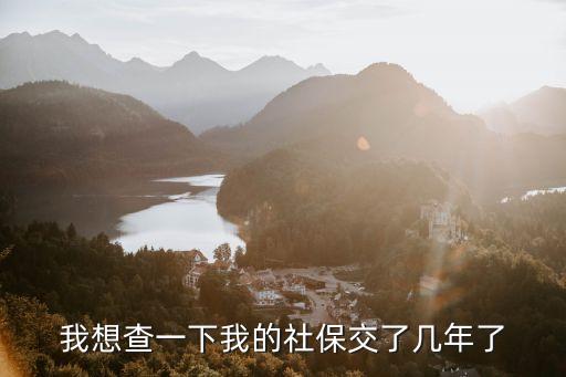 我想查一下我的社保交了幾年了