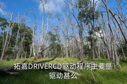 拓嘉，拓嘉DRIVERCD驅(qū)動程序主要是驅(qū)動甚么
