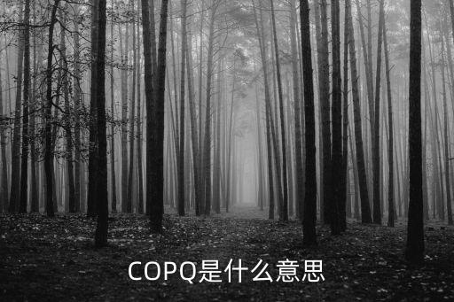 相關(guān)成本，會計(jì)非貨幣性資產(chǎn)交換中關(guān)于支付的計(jì)入換入資產(chǎn)相關(guān)成本的