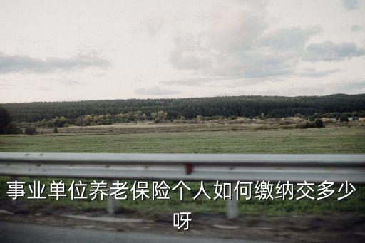 事業(yè)單位養(yǎng)老保險(xiǎn)個(gè)人如何繳納交多少呀