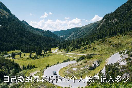自己繳納養(yǎng)老保險(xiǎn)金個(gè)人帳戶記入多少